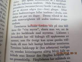 Termiterna och deras samhällen - Insekter som driva åkerbruk, boskapsskötsel och storindustri, som hålla slavar och ordna krigståg - Tidens intressen nr 2