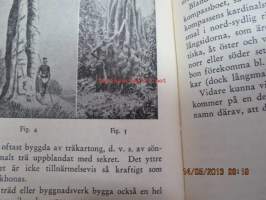 Termiterna och deras samhällen - Insekter som driva åkerbruk, boskapsskötsel och storindustri, som hålla slavar och ordna krigståg - Tidens intressen nr 2