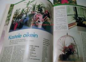 avotakka  1981   nr  9