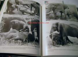 Viisisataa elefanttia  40 sivua liitekuvia,4 karttaa, 3 kaaviota