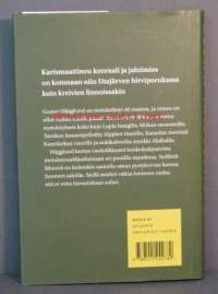 Onnenekka metsällä