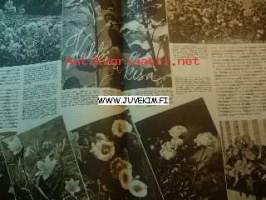 Kotiliesi 1949 nr 13 ilmestynyt 1.7.1949, ajankuvaa, mainoksia (mm. nelivärinen piirros Fazer marmeladi ja Hangon leivinjauhe yhdessä eli kakkukaksoset)