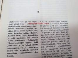 Parkki Kaitaisen rakennusvaiheita