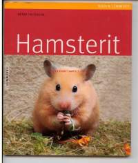 Hamsterit