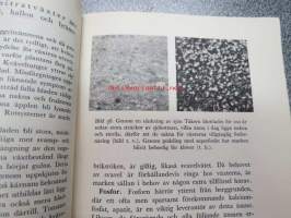 Botanik för trädgårdsmän, lantbrukare och skolor