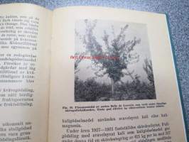 Gödslingslära
