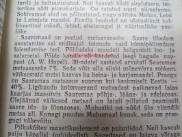 Saaremaast ja saarlastest - Saarenmaasta ja saarenamaalaisista viroksi