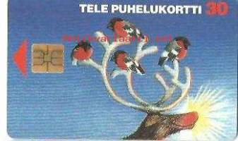 Puhelinkortti  D56 Petteri Punakuono