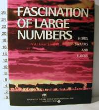 fascination of large numbers