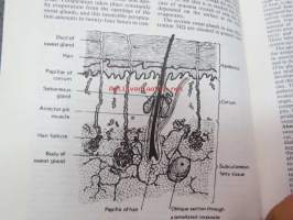 Black´s medical dictionary -lääketieteen sanakirja