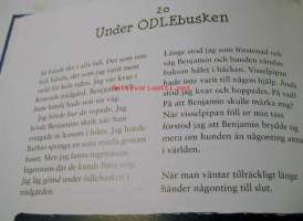 nagu-nallesegen bok