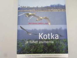 Kotka ja tuhat joutsenta - Äyräpään lintuparatiisi