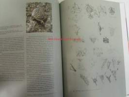 Solu /Cell, Porin taidemuseo - Ossi Somma, Reijo Paavilainen, Pentti Mäkinen