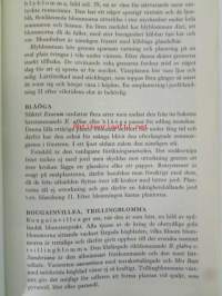 Blomster bok
