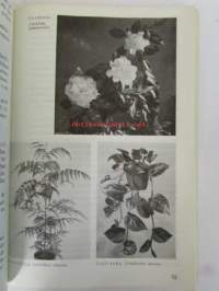 Blomster bok