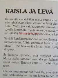 Luomakunta