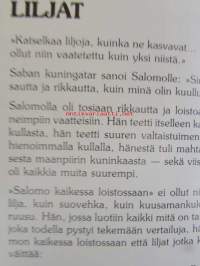 Luomakunta