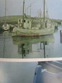 Luomakunta
