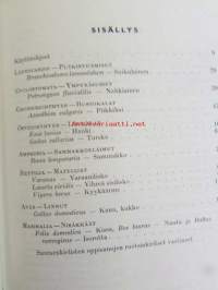 Selkarankaisten rakenne
