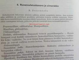Selkarankaisten rakenne