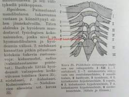 Selkarankaisten rakenne