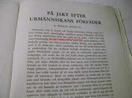 farväl till tropikerna