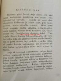Anje (das Anjekind) / Kansikuvitus Martta Vendelin
