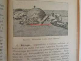 Folkskolans geografi