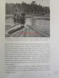 Teollisuuden Tapaturmavakuutusyhtiöt 1898-1967