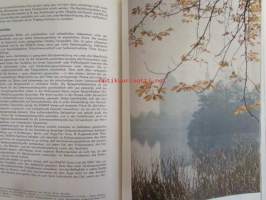 Exakta. Kleinbild - Fotografie