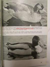 Eränkävijä - Metsästäjien ja kalastajien parhaat palat 1965