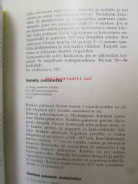 Ruutusarjan keittokirja