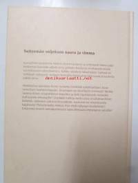 Hiidenkiveltä - Näkökulmia Aleksis Kiveen