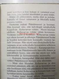 Kuun pojan seikkailu maassa
