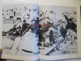 The war in the desert World War II