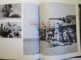 The war in the desert World War II