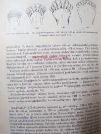 Suuri nisäkäskirja