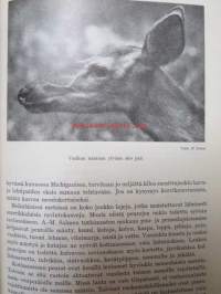 Suuri nisäkäskirja