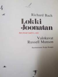 Lokki Joonatan