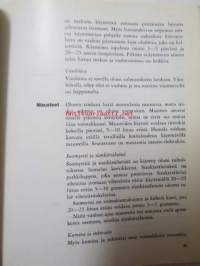 Kotiolut