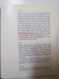 Kotiolut