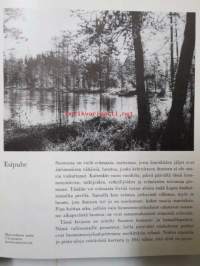 Viimeiset erämaat -  Suomen luonnon- ja kansallispuistot