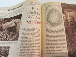 Kotiliesi 1960 nr 15, Laalahden kotimuseo - Ella ja Rurik Pihkala, pikkutytön päähine