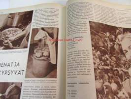 Kotiliesi 1960 nr 16,  elokuu itsenäisen naisen ammatteja - minusta tuli lankakauppias Aili Jokinen (Tampere), perintöesineitä oikeassa ympäristössä, kaulukset