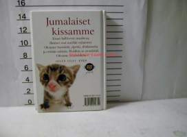 jumalaiset kissamme