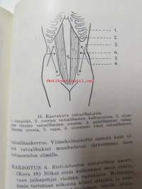 Kuinka valmistaudun synnytykseen