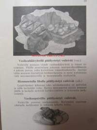 Lämpimiä ja kylmiä voileipiä sekä voilaitteita