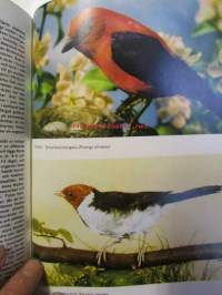 Den Stora Fågelboken