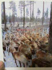 Lappland i färg