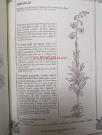 The book of Home Remedes Herbal cures